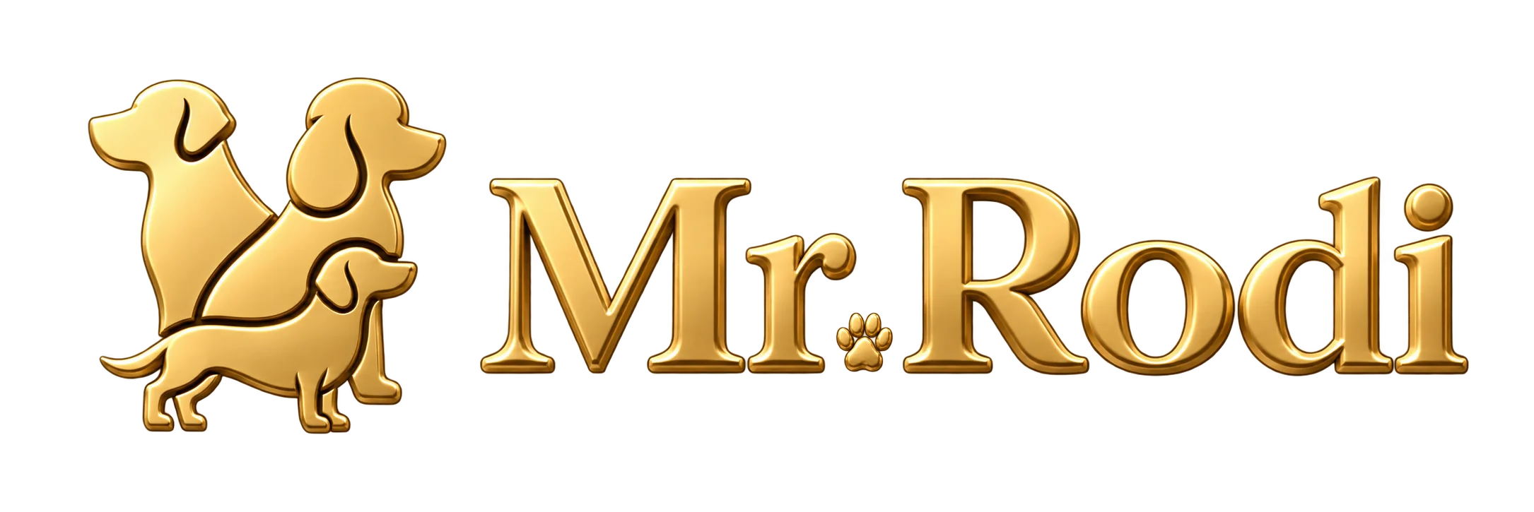 Mr.Rodi