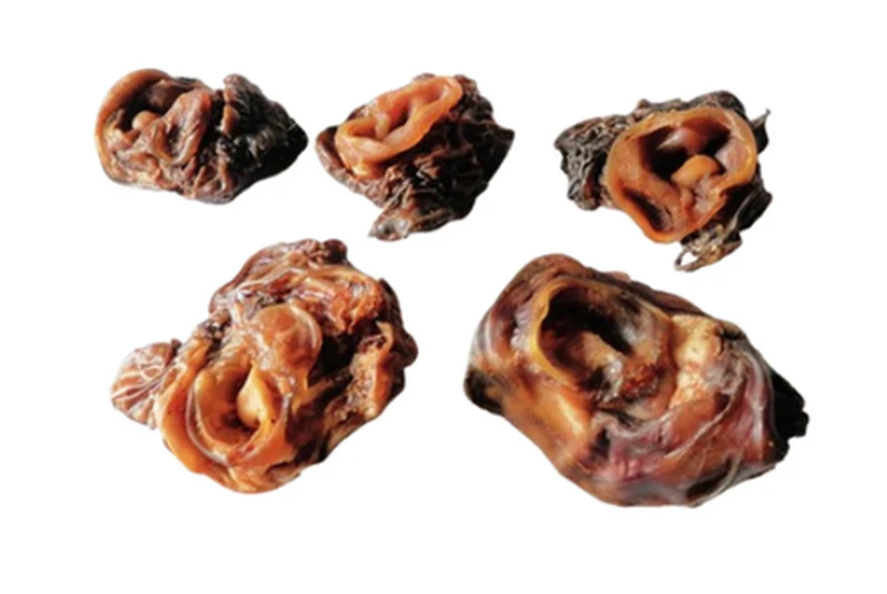 Beef Ears Root