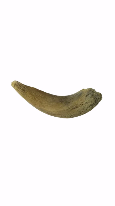 Lamshornmark