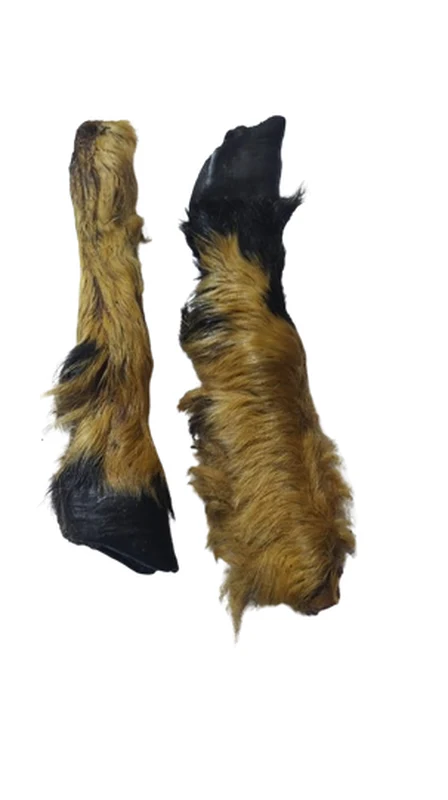 Lamb Feet with Hair