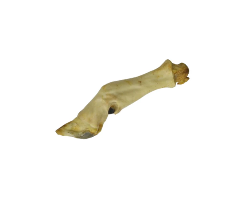 Geitenvoetjes