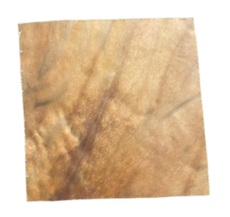 Horse Skin Plate