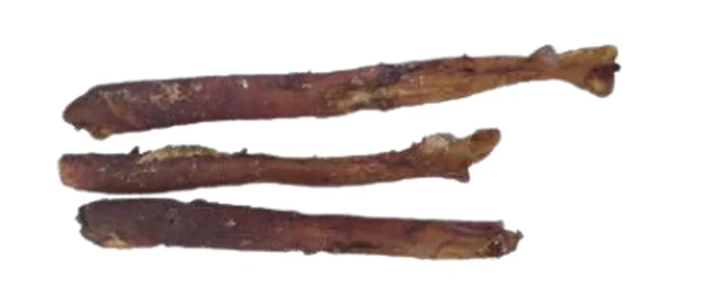 Rinderaorta