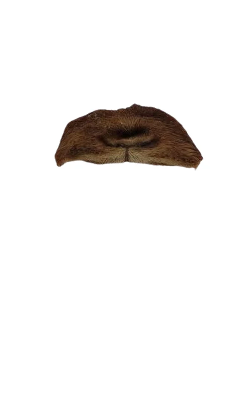 Geitenneus met Haar