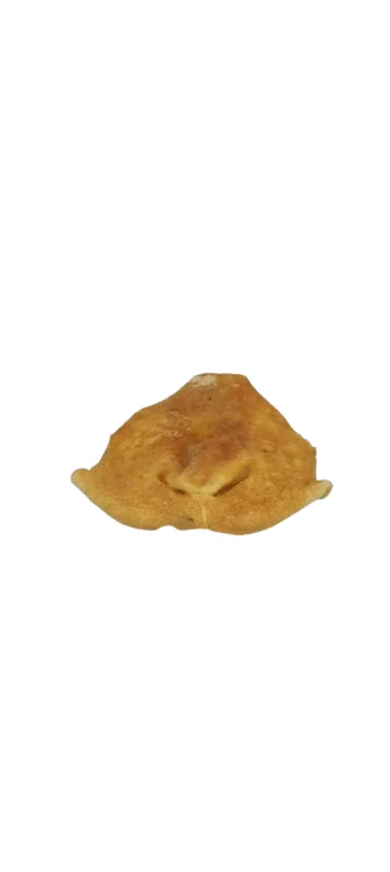 Geitenneus