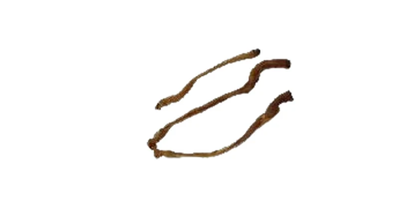 Geitenpizzle