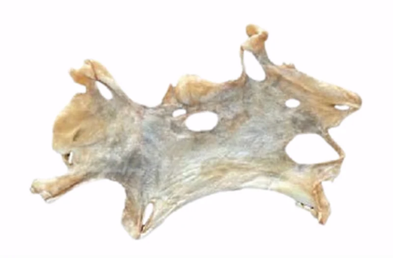 Goat Headskin Plate