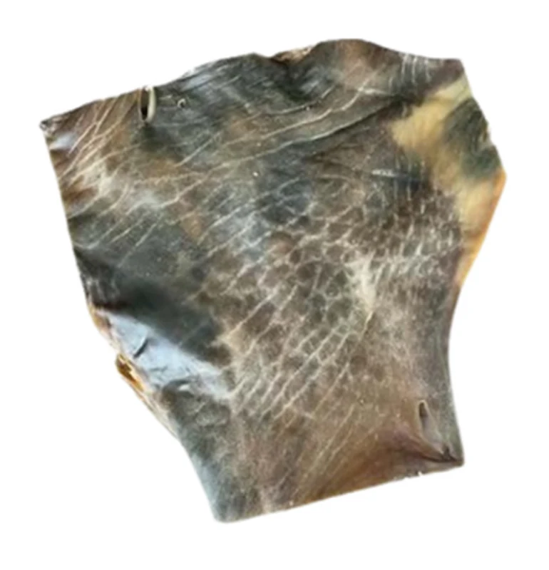 Camel Skin Plate