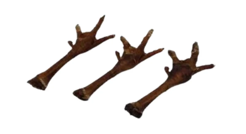 Kalkoenpoot 25-30 cm