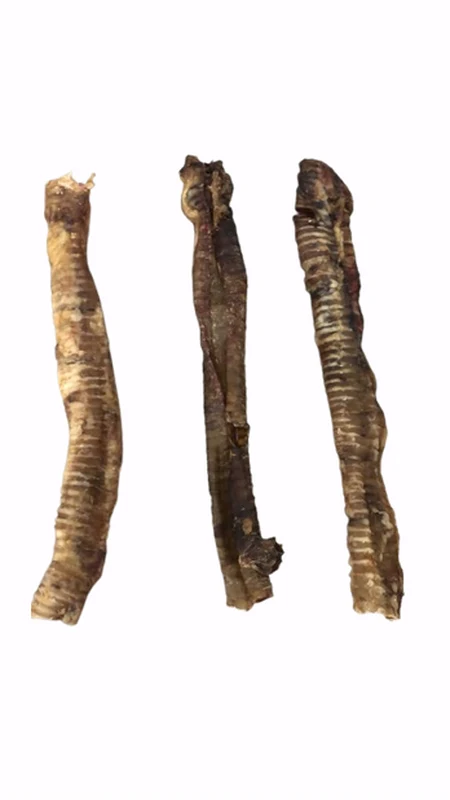Buffalo Trachea Long