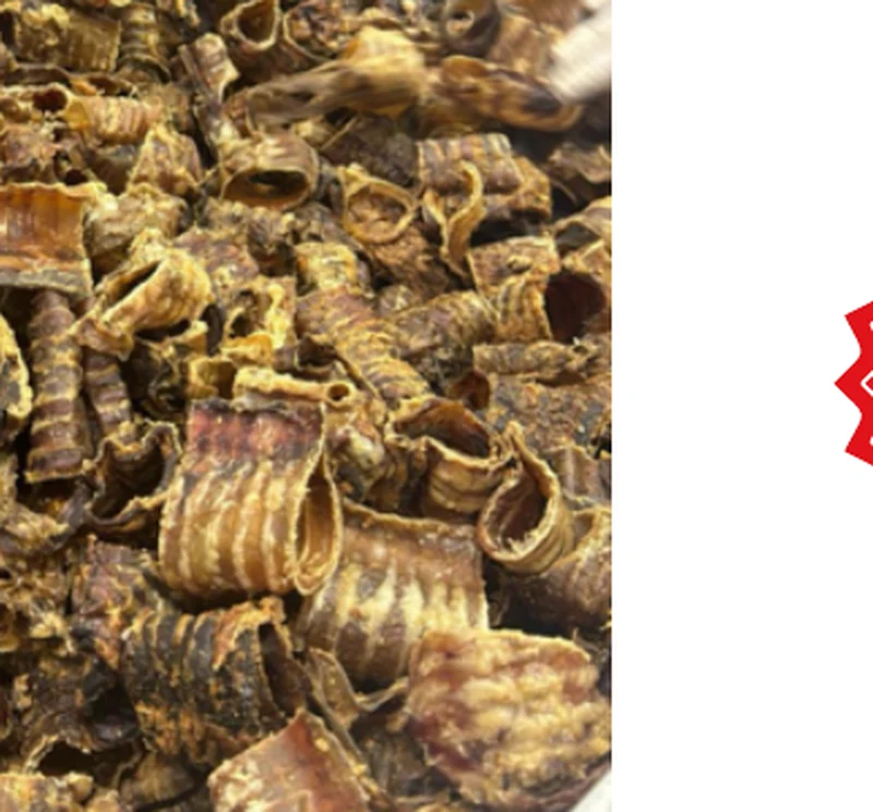 Buffel Trachea
